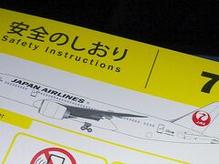 ＪＬ００４便　１８：２０発−１８：２５（ＮＹ到着）。成田からＮＹまで、今年新たに増便された路線です。その機材が７８７なんです。

