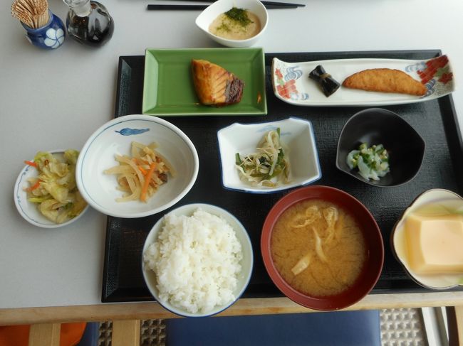 前夜８時半には寝ていたわたし<br />朝から御飯を沢山食べて元気に遊びます