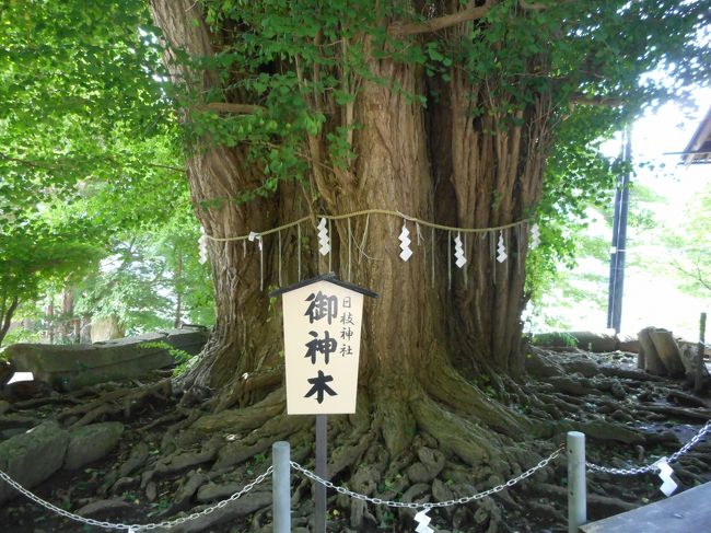 芭蕉と曾良の像やご神木など　見ながら山門の方へ<br />