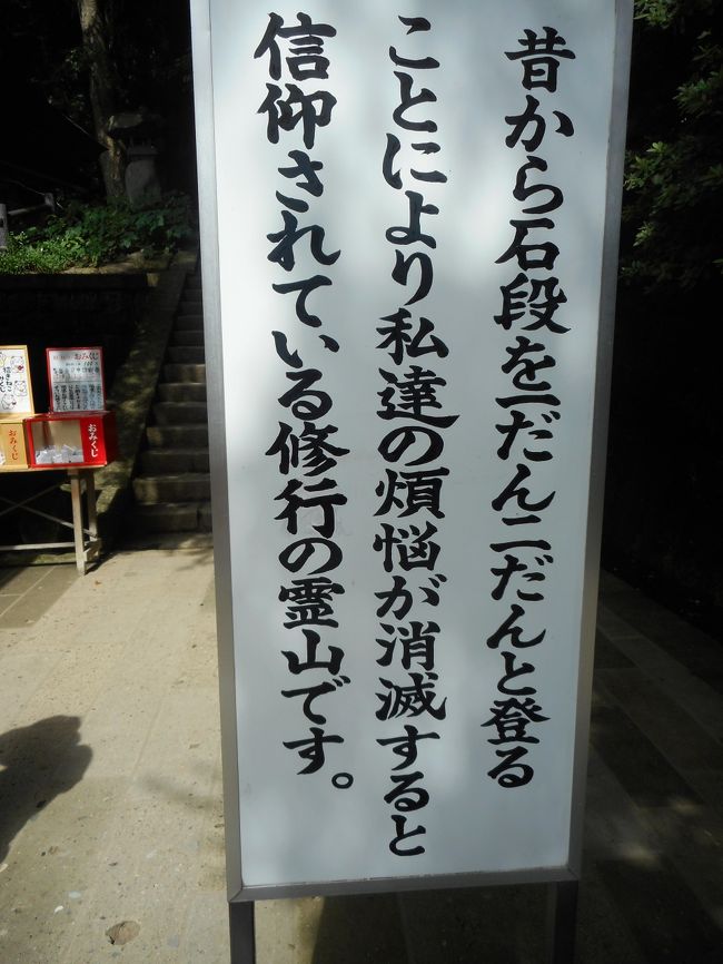 はいはい　頑張りまーす