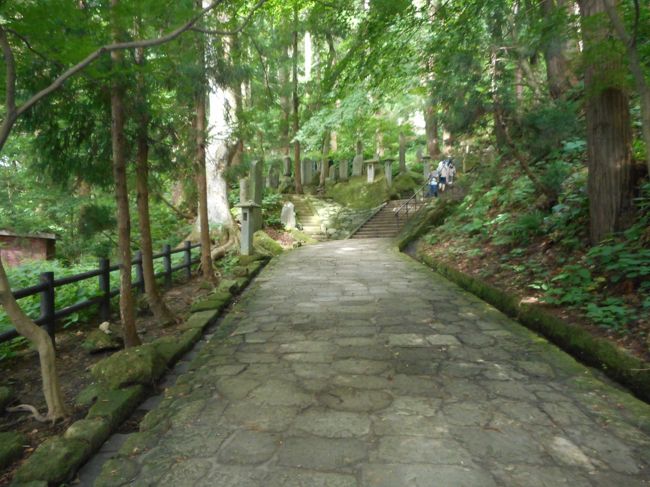 木や土のいい匂いがします