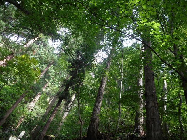 「閑さや…」ですね<br />