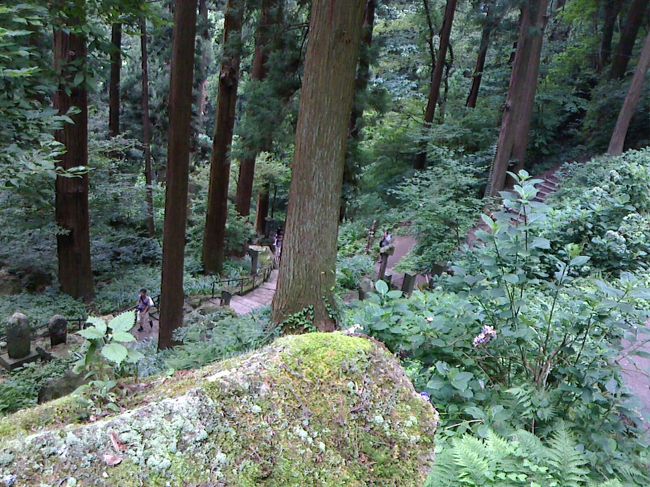 下りは人の少ない道を行きます<br />