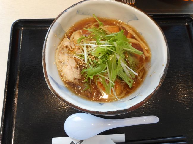 山形市内に戻り冷しラーメンを食べました<br />その後　晩ごはんを買ってキャンプ場へ行く予定です<br />予約もしていないので　駄目だったらその時考えようという<br />いつもながらの行き当たりばったり旅