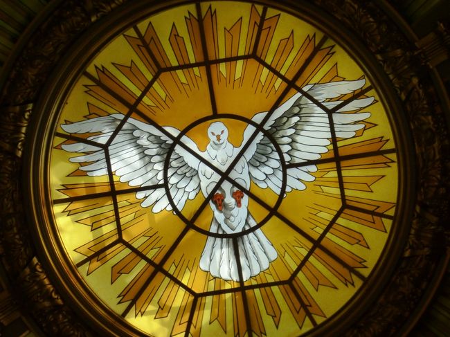 天使を表す鳩。