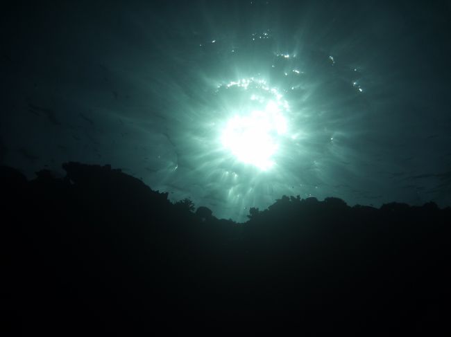 下から太陽を見る