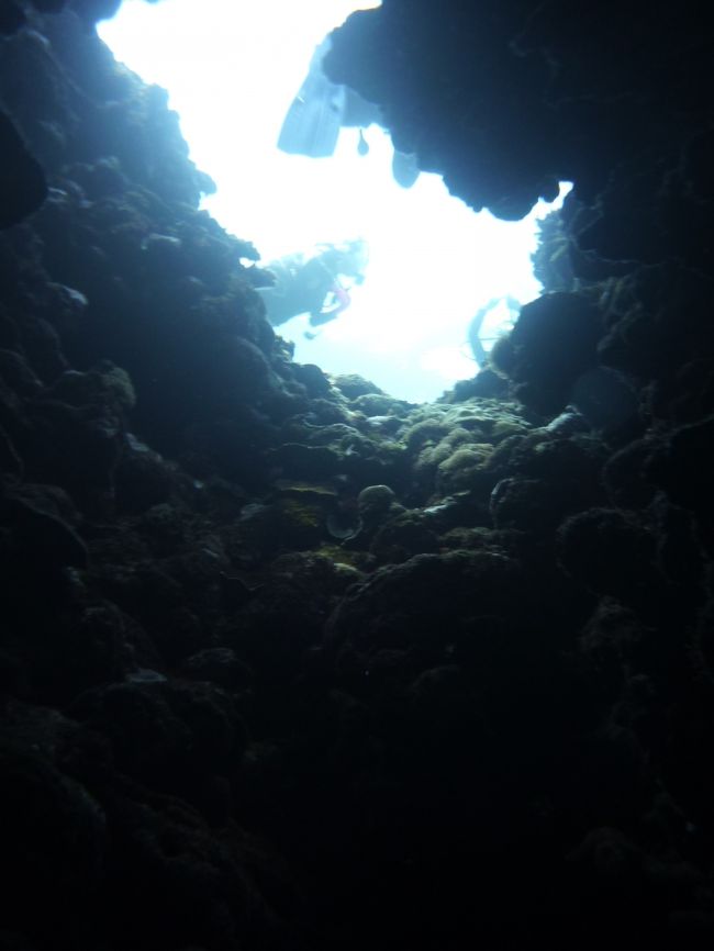 こういうスポットが大好きなのです