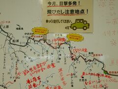 午前中に2本潜って、お弁当を食べて、14時頃に宿まで送ってもらいました。
器材を片付け、隣のスーパーでゆうぱっくの手続き。

15時30分の石垣行きのフェリーに乗るために上原港へ。
ヤマネコ情報が掲示されていました。
人身事故よりもヤマネコ事故の方が多いとのこと。