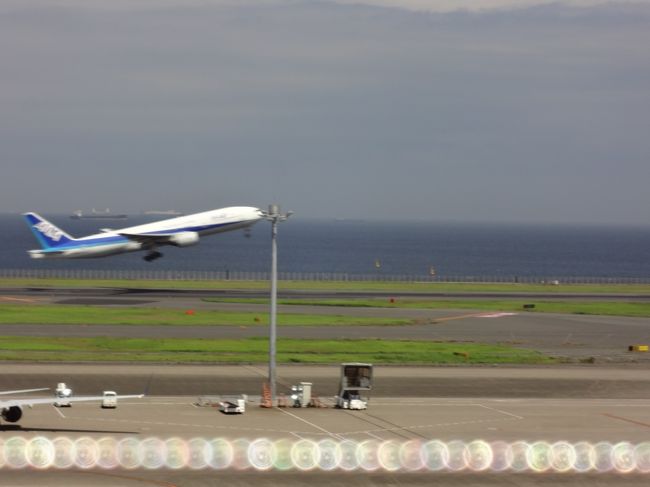 <br />それでも時間があまってるので飛行機観たりして時間を潰す。<br /><br />こちらは国内線第2ターミナルですが、お昼時の為、レストランは結構な混み具合。<br /><br />場合によっては国際線ターミナルに移動して食べた方が早く食べられそうです