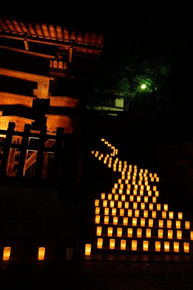 個人的には猿沢池が大好きなので<br />東向き通りから猿沢池を目指します。