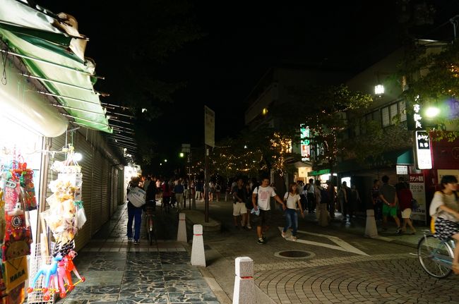 燈花会は19:00〜21:45<br /><br />奈良駅に19:30頃到着<br />駅ではボランティアのスタッフが<br />エリアマップを配布<br /><br />