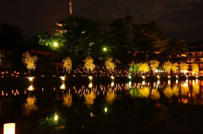 奥から見ると興福寺の灯が池に映っいて綺麗です