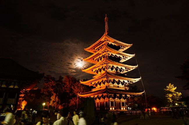 興福寺の一角には三脚＋カメラを構えた<br />カメラユーザーが沢山。<br /><br />スーパームーンの今日<br />月と興福寺の写真を待っているみたい