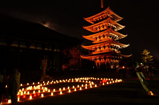 ライトアップされた興福寺がきれい