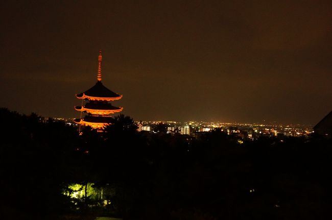 浮雲園地を目指していると<br /><br />県庁に人が入っていくのでついていく<br /><br />県庁の屋上を開放しているそうです<br /><br />奈良の夜景はしっとりしていて好き