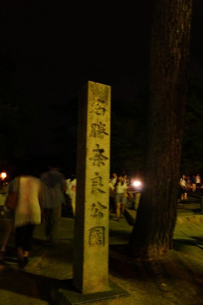 奈良生まれ奈良育ちの私は<br />子供の頃から何度も奈良公園は来ているけど<br />何度来てもいいところ