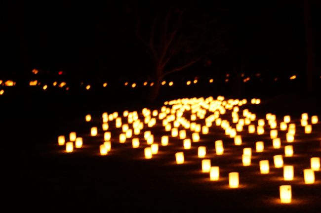 沢山のローソクのあかり<br /><br /><br />『燈花』とは、灯心の先にできる花の形のかたまり。<br />これができると縁起が良いと言われています。<br />『なら燈花会』を訪れた人々が幸せになりますように。<br />そんな願いを込めてろうそく一つ一つに灯りをともします。<br />〜奈良燈花会のＨＰより〜<br />