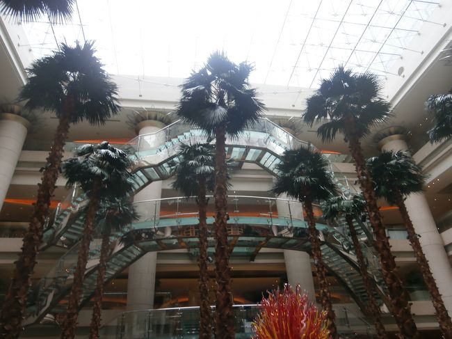 上は天窓・・・この日は小雨日和で全然暑くありません。