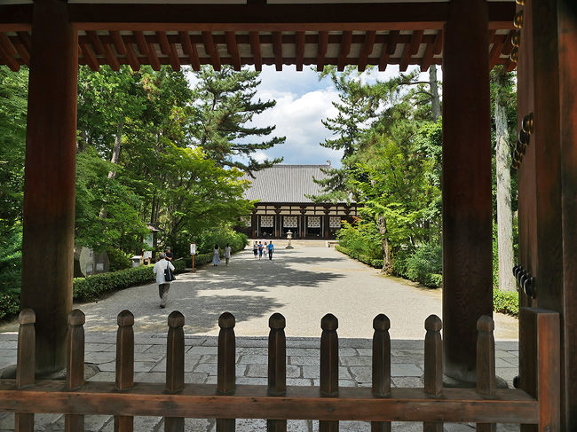 南大門より拝した［国宝］金堂