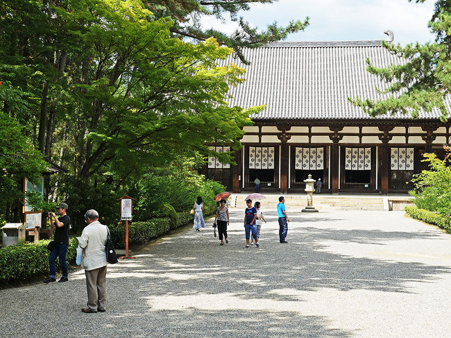 南大門を入り参道の玉砂利を踏みしめて進むと、眼前に迫る金堂の威容に圧倒される。唐招提寺は唐の高僧・鑑真大和上が奈良時代に創建した寺院。