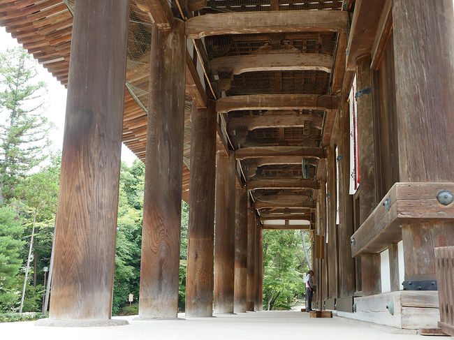 金堂正面に並ぶ八本のエンタシス列柱の吹き放ちは、遠くギリシャの神殿建築技法がシルクロードを越え、日本まで伝来したかのように感じさせます。