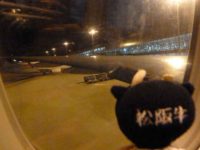 さよならニッポン。<br />相棒と旅立ちの瞬間。<br />エミレーツで行きます。