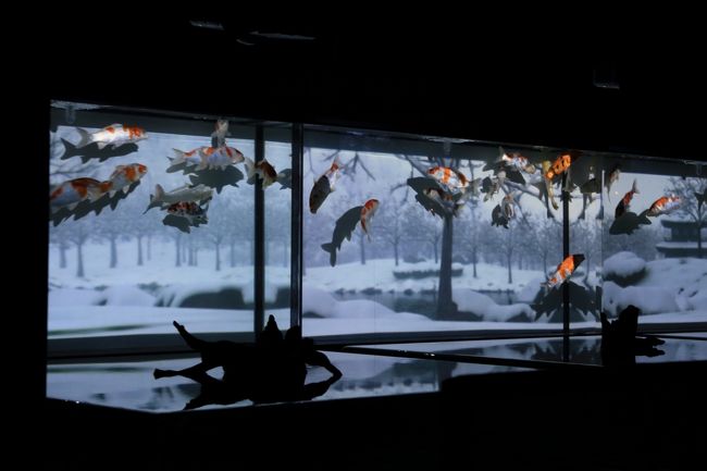 アートアクアリウム展 名古屋 金魚の雅 名古屋 愛知県 の旅行記 ブログ By はな さん フォートラベル