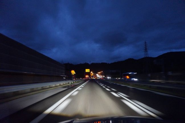 運転は息子が。