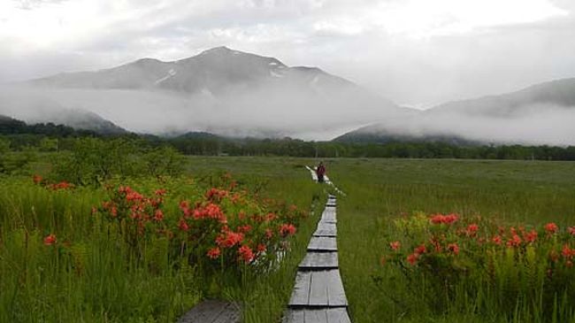 尾瀬 ワタスゲの白い絨毯 鳩待峠 アヤメ平 彈四郎小屋テント泊 尾瀬ヶ原 鳩待峠 武尊 尾瀬 片品 群馬県 の旅行記 ブログ By Yama555さん フォートラベル