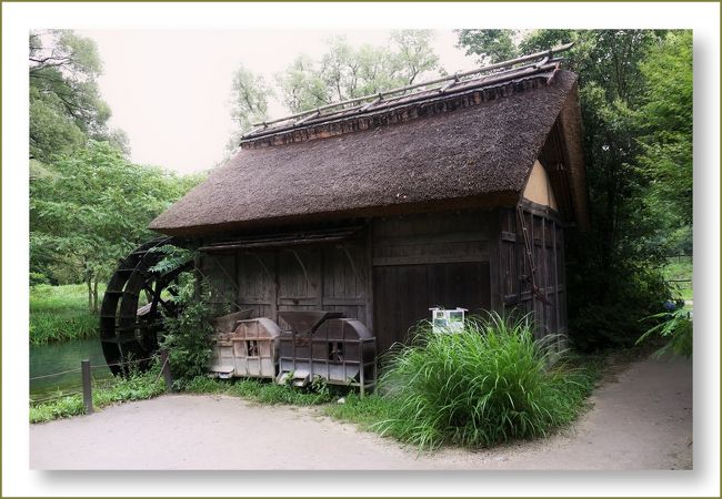 絵画 日本 風景画(街並み)長野県 安曇野 大王わさび農場
