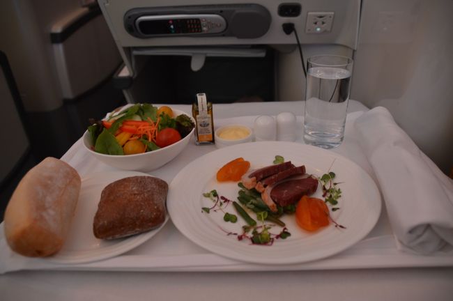 ドバイーパリ間のフライトの為、当然和食はなし。まあ、普通の洋食。