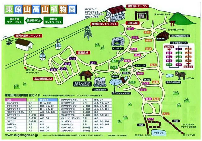 志賀高原の夏休み 3 東館山高山植物園 湯田中渋温泉郷 志賀高原 長野県 の旅行記 ブログ By ペコちゃんさん フォートラベル 志賀高原の夏休み 3 東館山高山植物園 湯田中渋温泉郷 志賀高原 長野県 の旅行記 ブログ By ペコちゃんさん フォートラベル