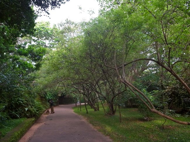 ホテルの敷地内。村みたいな感じ