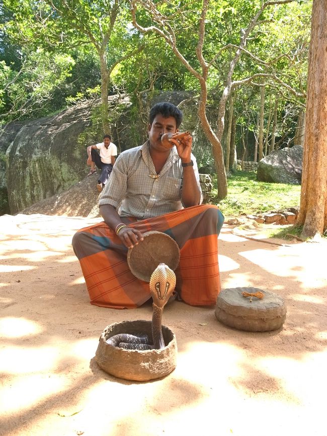 帰り、コブラを出してもらう（お金を払いました）