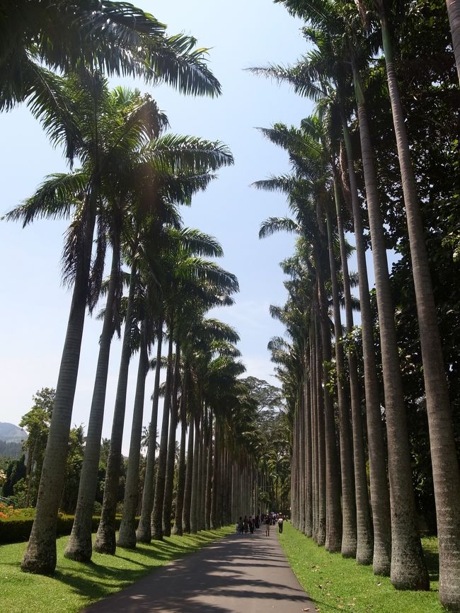 植物園を淡々とまわった