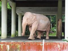 ０９：３７

ロイヤル・ホワイト・エレファント・ガーデン