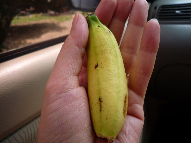 AMOさんが買ったモンキーバナナを1本頂きました。<br /><br />手の平サイズで可愛い♪