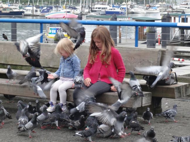 お母さんが子供に鳩のえさを持たせるので、鳩がこんな風に群がってました。(母親が喜んでる子供の写真をバチバチ撮ってました)