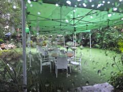 １４：００

ミャンマー料理店『Padonmar』にて昼食。１名・1,000円程度です。
クレジットカードも使用可ですが、
通信状態の悪い時は使えない事もあります。
初めてのミャンマー料理チャレンジは、ここが良いかもしれません。