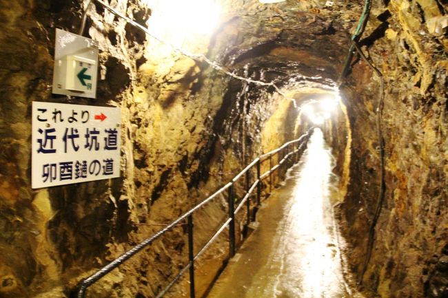 秋田 銅山至宝  当五十 地方貨 - セキグチは1964年創業の古銭・アンティークコイン