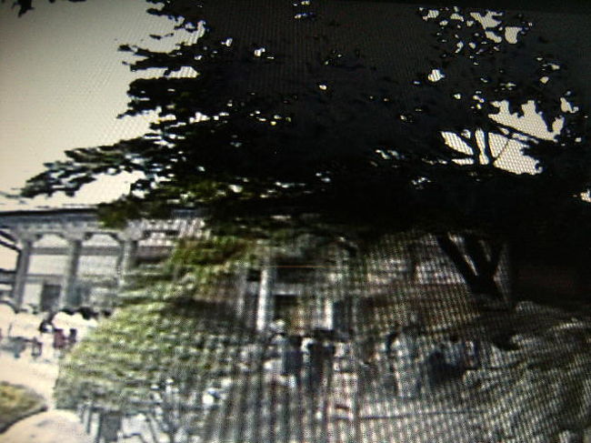 中尊寺一帯の流域