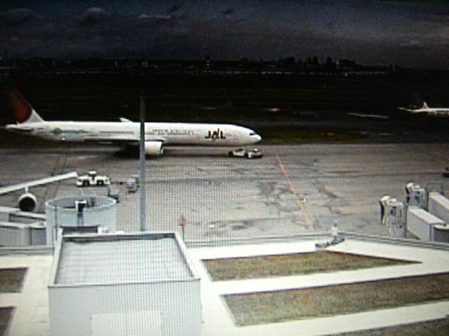 仙台空港、大震災で一帯が津波により水が押し寄せているＴＶ報道を見たが・・・