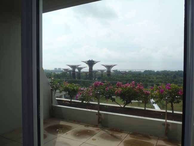 バスタブが欲しかったので<br />プレミアムルームへ宿泊。<br /><br /><br />ガーデンズバイザベイが見えるやないの〜！<br />展望は期待してなかったからウレシイ〜☆