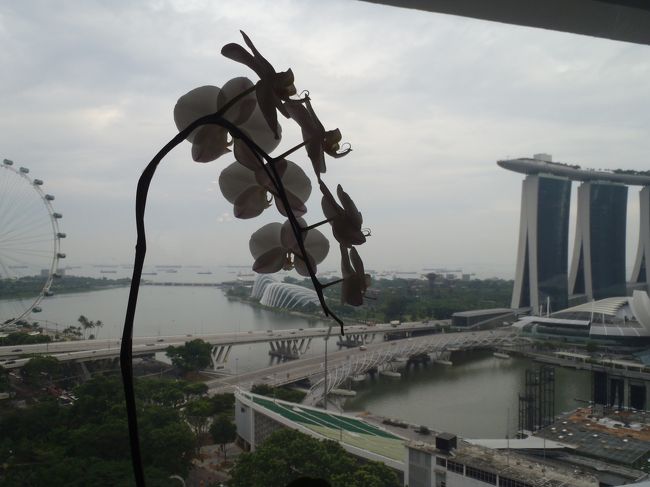 続いて<br />マンダリンオリエンタル。<br /><br />こっちはオーシャンビュー？<br />やったかな？<br /><br />観覧車とサンズがいい感じ。