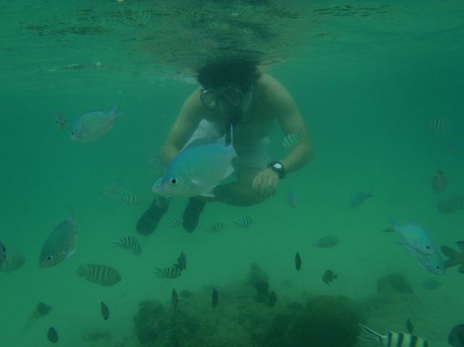 サピ島でシュノーケル