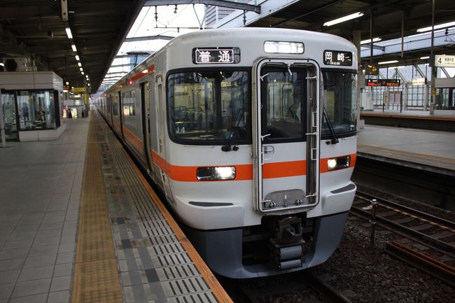 関ヶ原ウォーランドから名神高速道や東海北陸自動車道などを通り約45分｡18時前に｢ジャパンレンタカー岐阜アカナベ店｣(岐阜市)でレンタカーを返却し､同店の送迎車で岐阜駅へ=写真=｡東海道線に乗り､名古屋駅で東海道新幹線に乗り換え､21時ごろ､新横浜駅に到着し解散｡<br /><br />【旅の感想】<br />柳ヶ瀬の惨状は､日本経済の現状を知る上での貴重な体験となった｡そして､戦国ファンとして､念願の関ヶ原の古戦場訪問が叶ってよかった｡