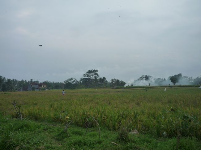 あ〜、、<br />のどかないい雰囲気☆<br />心落ち着きます。