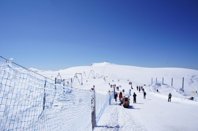 山の上はスキー場です<br />スキーやボードを担いでゴンドラに乗る人も結構います<br />というか、観光目的でここまで来ているのは、ほとんどがアジア人でした