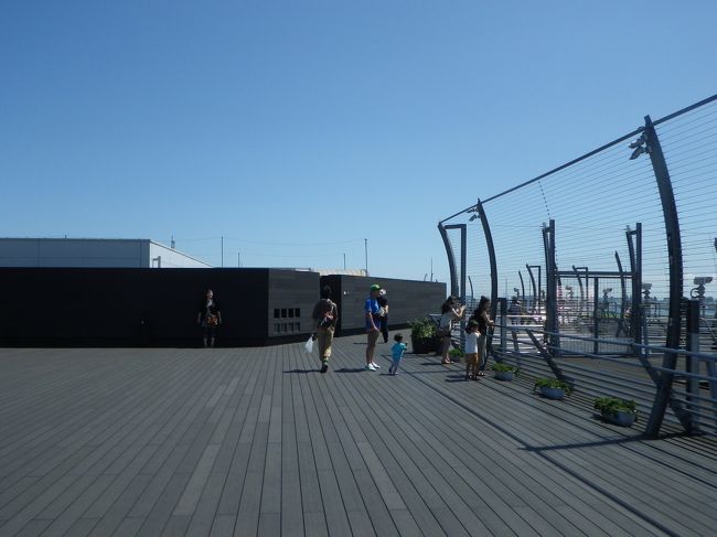 風が強いです。