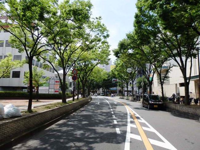 日本の旅 関西を歩く 大阪府門真市の古川橋駅 ふるかわばしえき ルミエールホール 古川橋並木通り 萱島駅 かやしまえき のクスノキ周辺 門真 守口 大阪 の旅行記 ブログ By さすらいおじさんさん フォートラベル